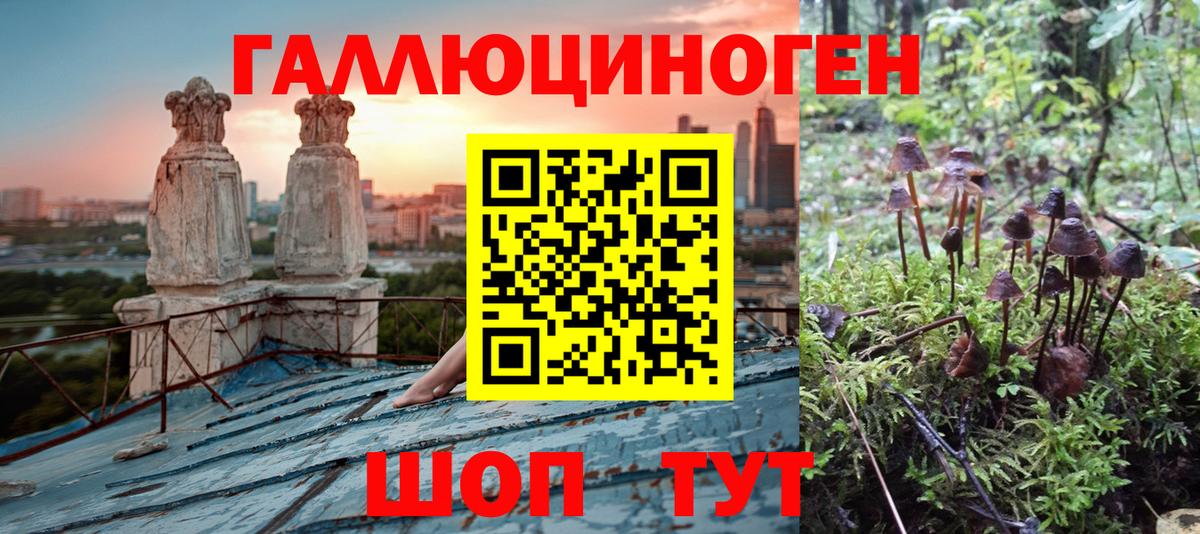 Нурлат  Галлюциногенные грибы Cubensis  Галлюциногенные грибы MAGIC MUSHROOMS  Вход с VPN 